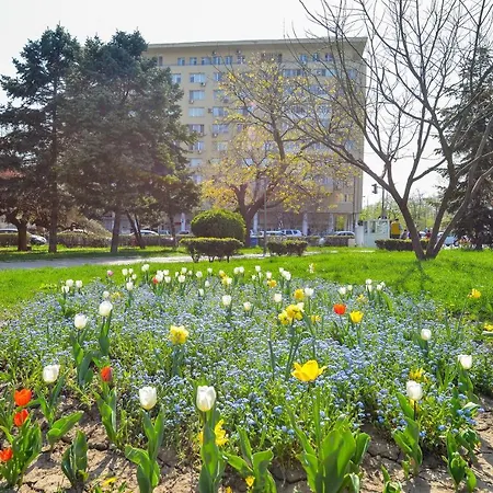 & * Bucharest